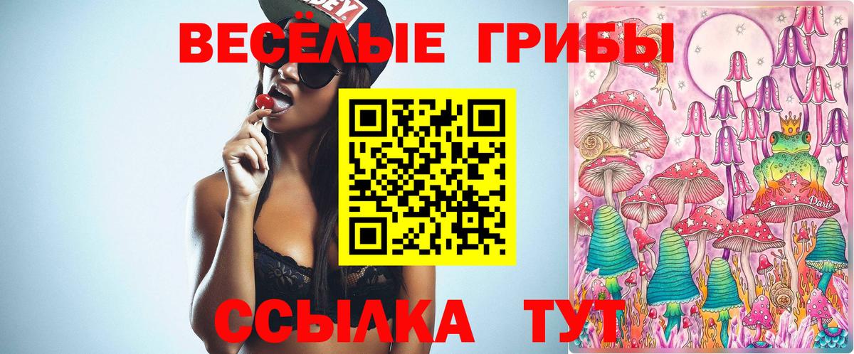 Псилоцибиновые грибы Magic Shrooms  Галлюциногенные грибы мицелий  Вход с VPN  Кохма 